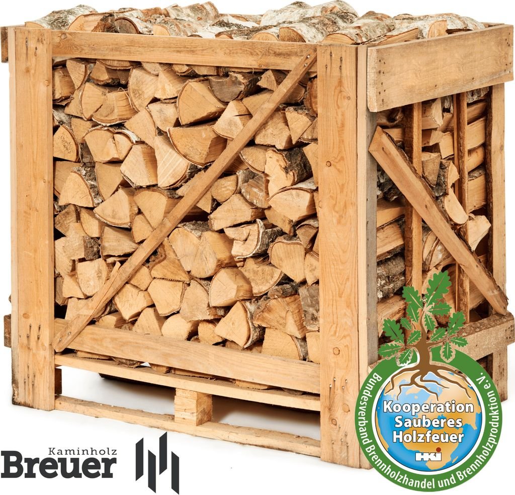1 RM PREMIUM Birken Brennholz | 25cm | kammergetrocknet | auf Palette | 500kg | Kaminholz | 1,6 SRM